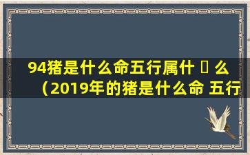 94猪是什么命五行属什 ☘ 么（2019年的猪是什么命 五行属什么）